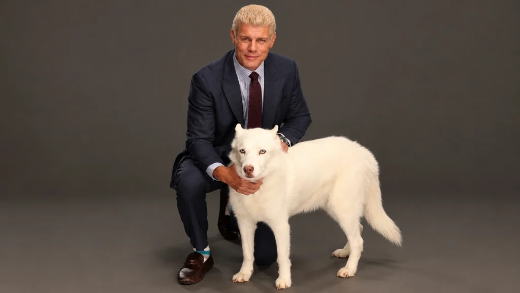 Cody Rhodes dog Pharaoh tribute graphic